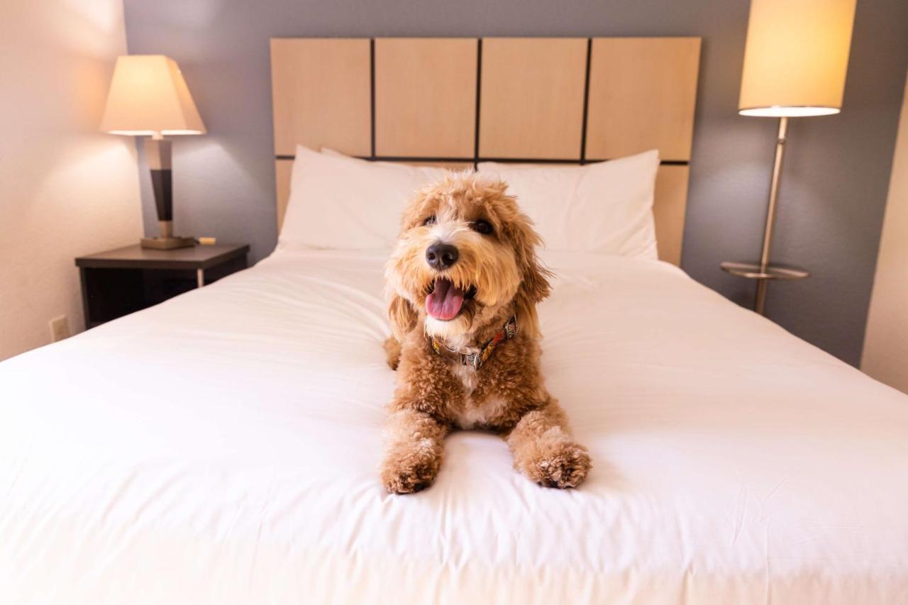 โซเนสตา ซิมพลี สวีท แอนาไฮม์ Hotel การ์เดนกรูฟ ภายนอก รูปภาพ